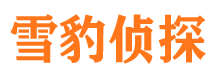 湖南市侦探公司